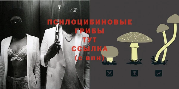 молекула духа Александровское