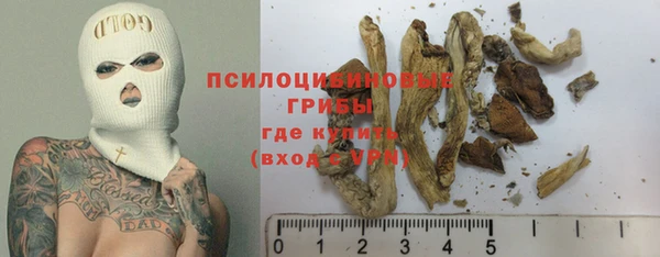 молекула духа Александровское