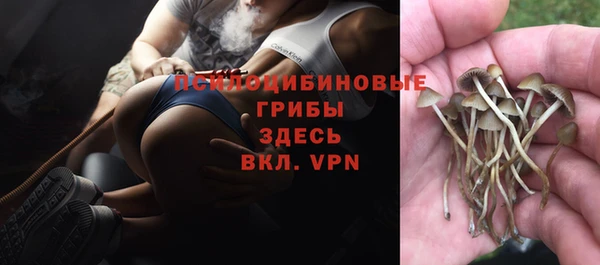 молекула духа Александровское
